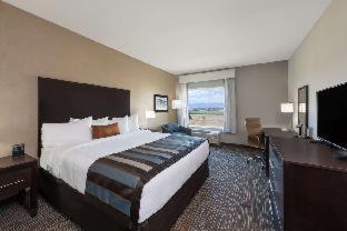 La Quinta Inn & Suites By Wyndham مدينة ليك الغرفة الصورة